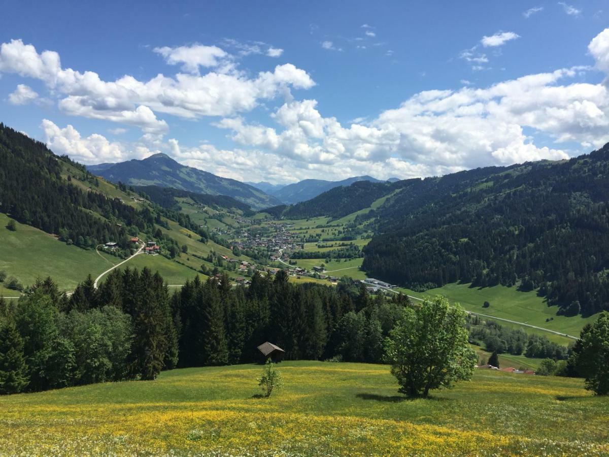 Apartamento Sonnenalp Bergruhe Niederau Exterior foto